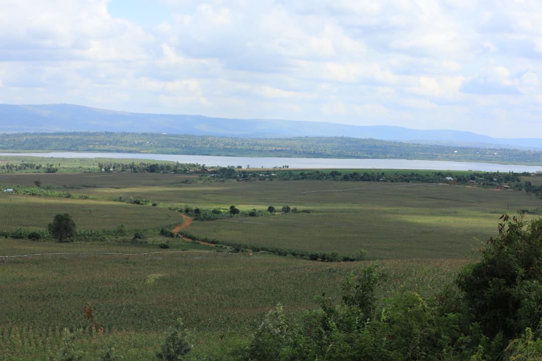 Des champs et de l’eau à Nasho, Kirehe