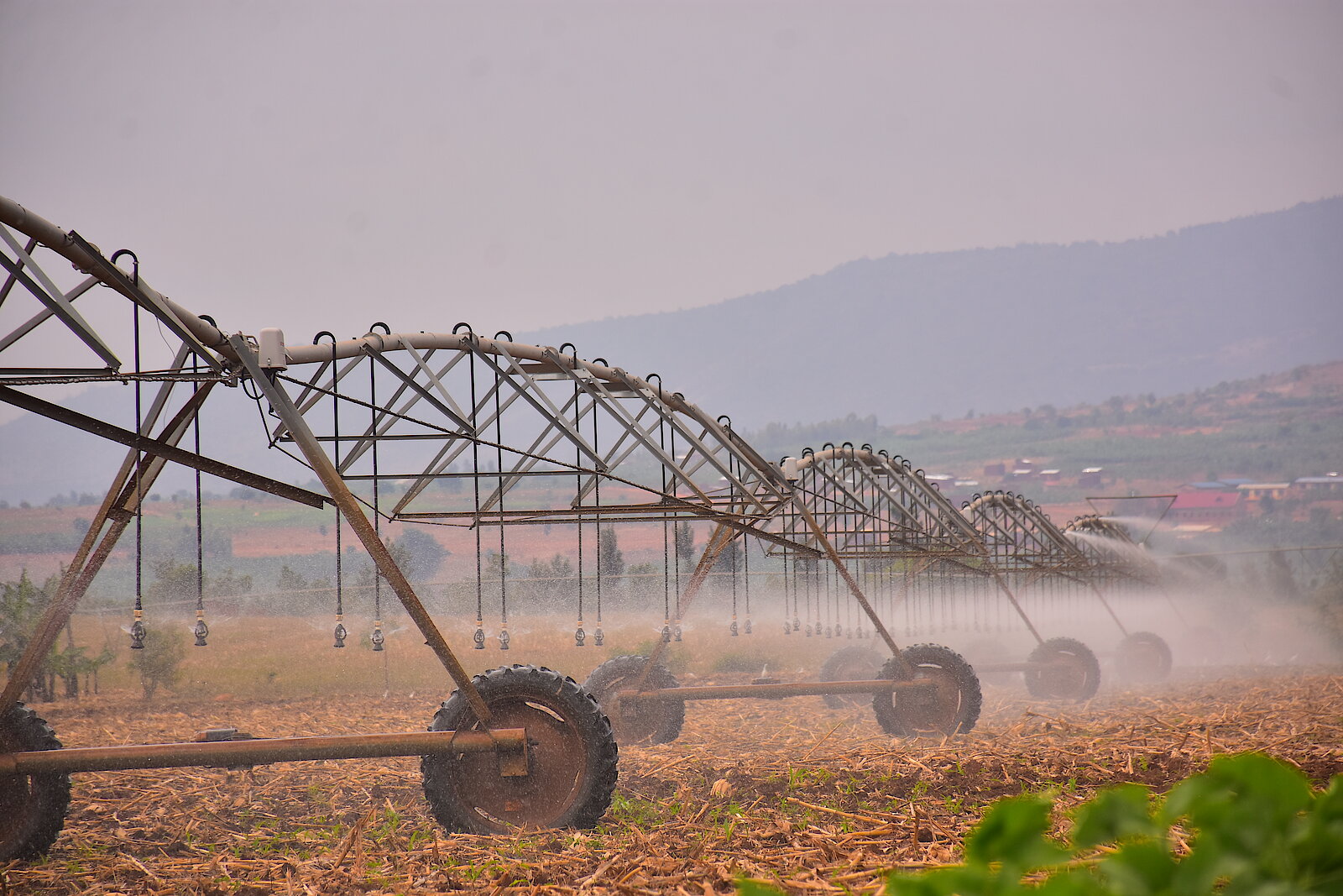 Du matériel d’irrigation en fonctionnement à Kirehe